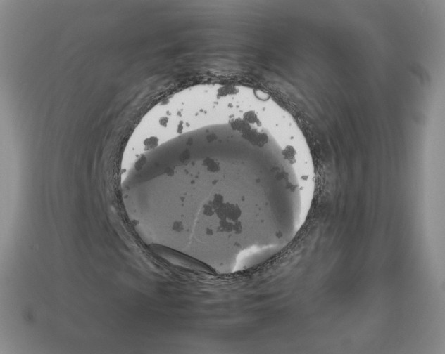 X0000112831009200910021218