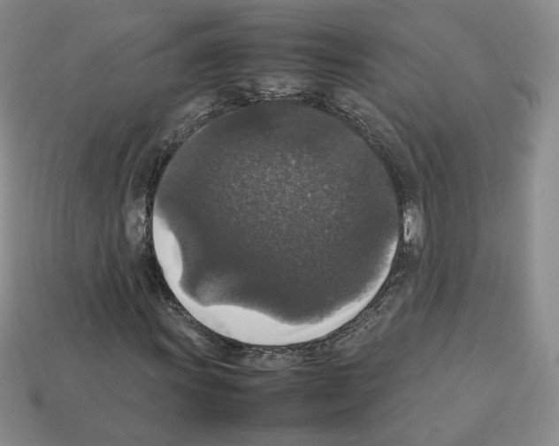 X0000112831011200910021218