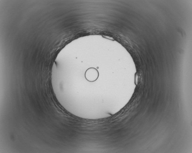 X0000112831012200910021218