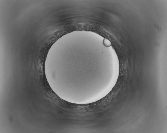 X0000112831013200910021218