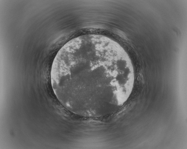 X0000112831014200910021218