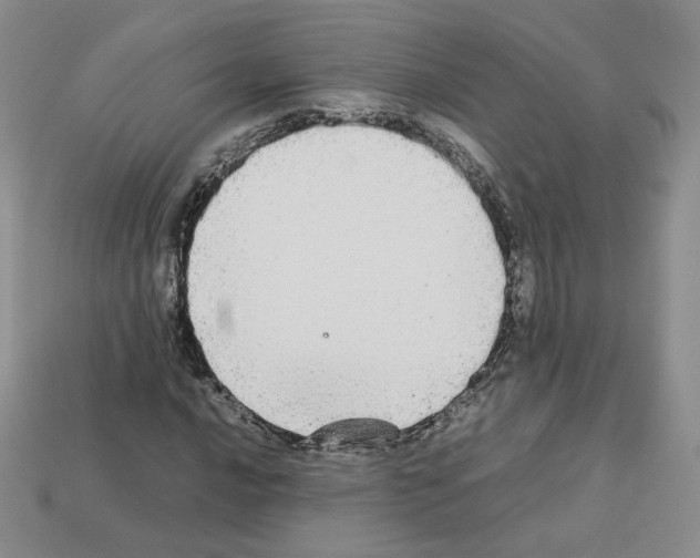 X0000112831016200910021218