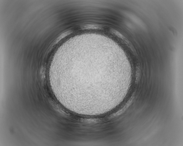 X0000112831017200910021218