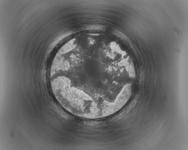 X0000112831019200910021218