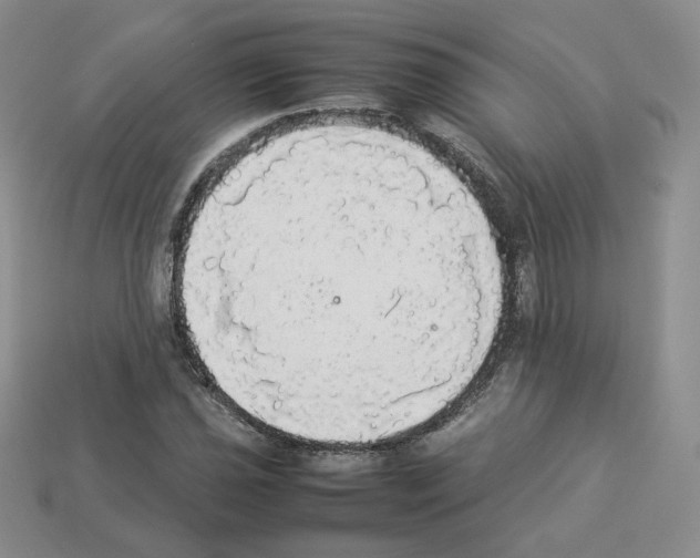 X0000112831021200910021218