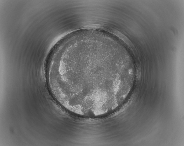 X0000112831022200910021218