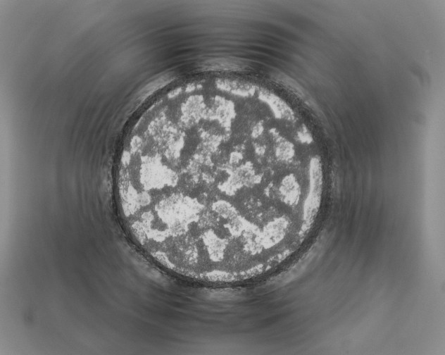 X0000112831025200910021218