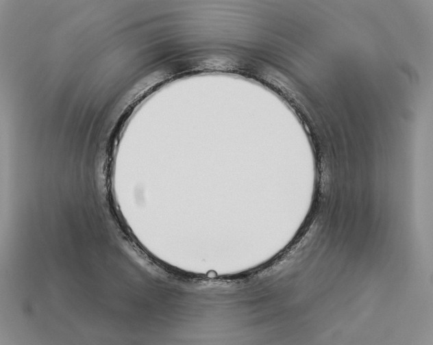 X0000112831026200910021218