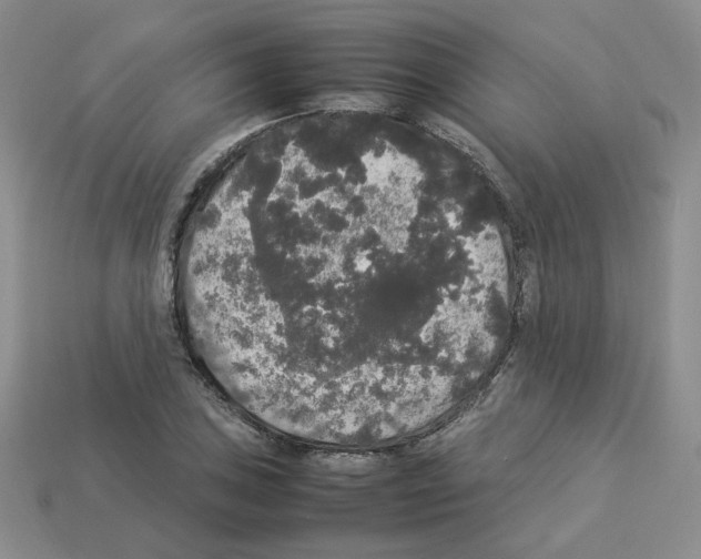 X0000112831027200910021218