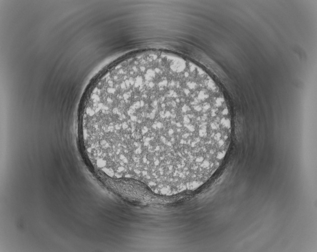 X0000112831028200910021218