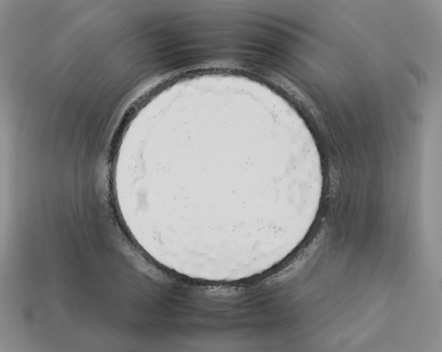 X0000112831029200910021218