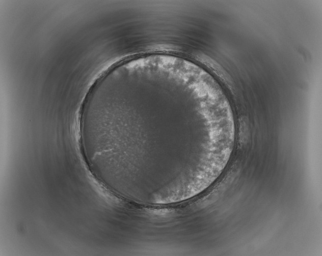 X0000112831031200910021218