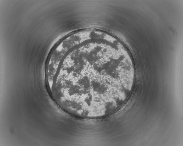 X0000112831032200910021218