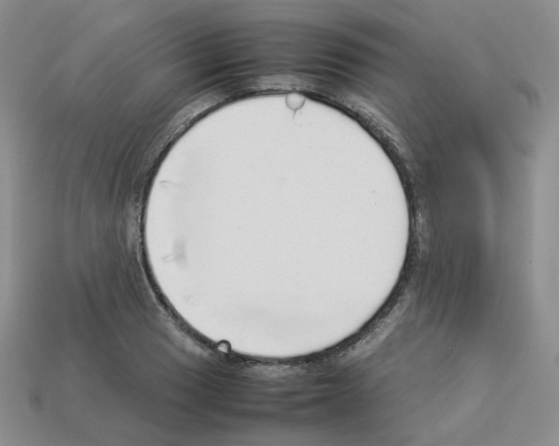 X0000112831033200910021218