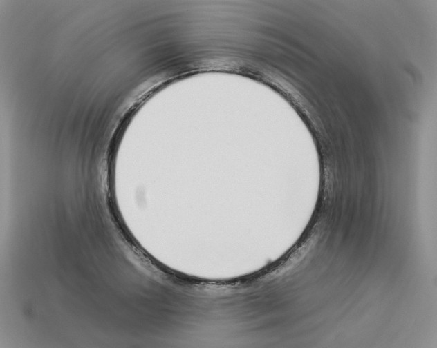 X0000112831034200910021218