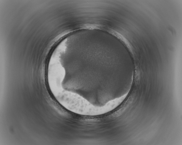 X0000112831035200910021218