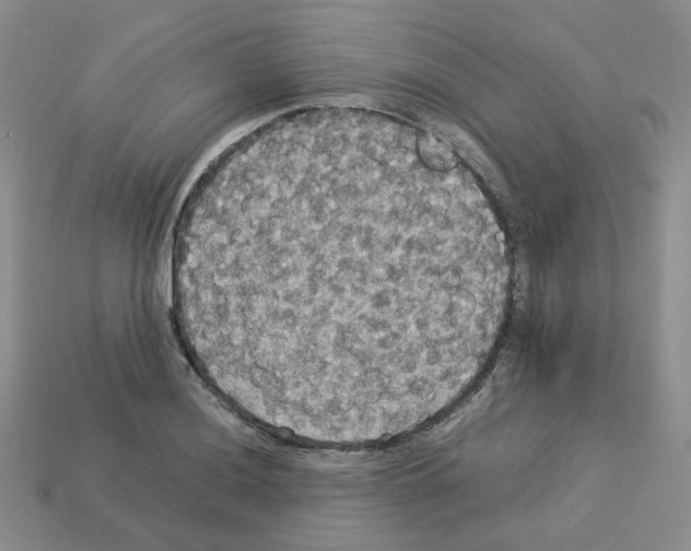 X0000112831036200910021218