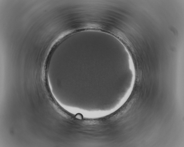 X0000112831037200910021218