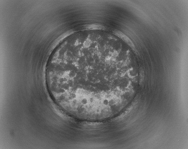 X0000112831039200910021218