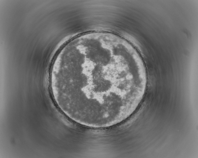 X0000112831040200910021218