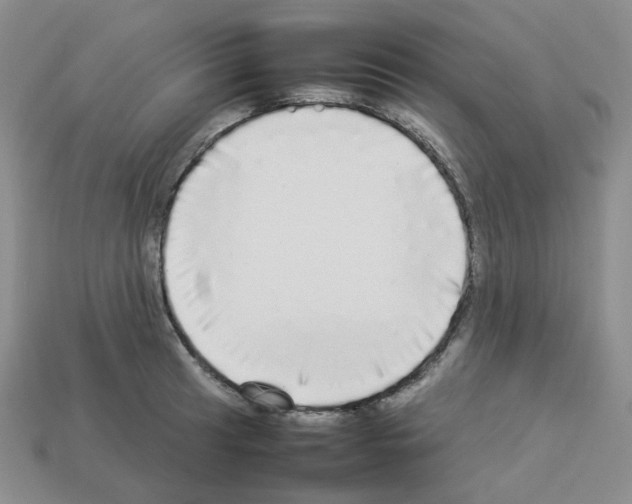 X0000112831041200910021218