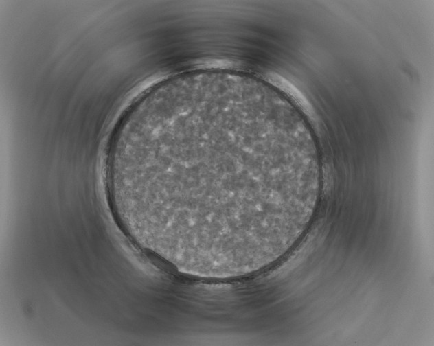 X0000112831043200910021218