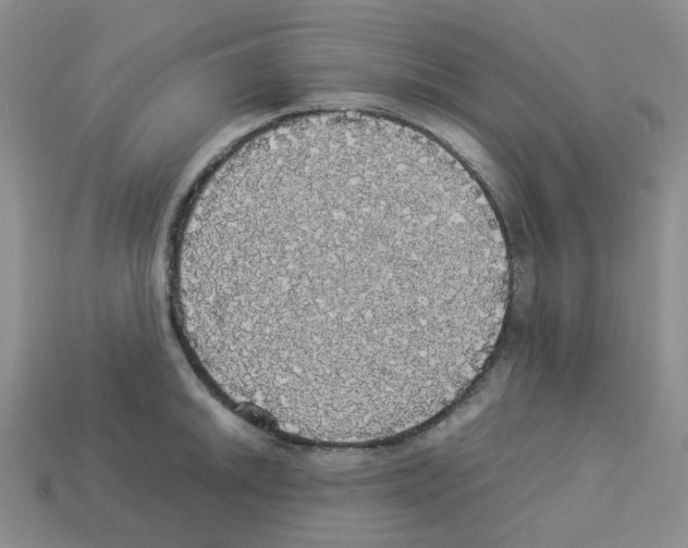 X0000112831046200910021218