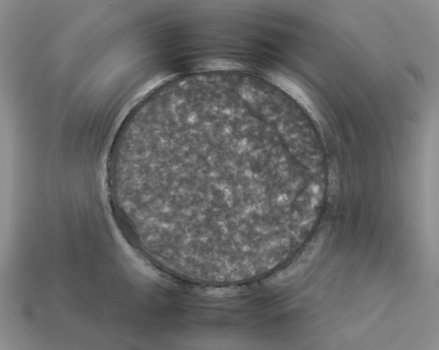 X0000112831047200910021218