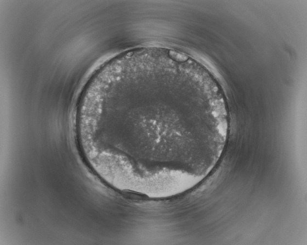 X0000112831048200910021218