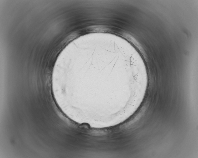 X0000112831049200910021218