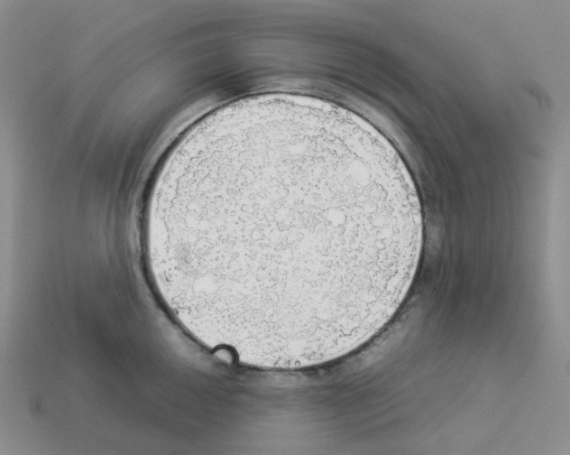 X0000112831050200910021218