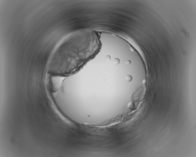 X0000112831053200910021218