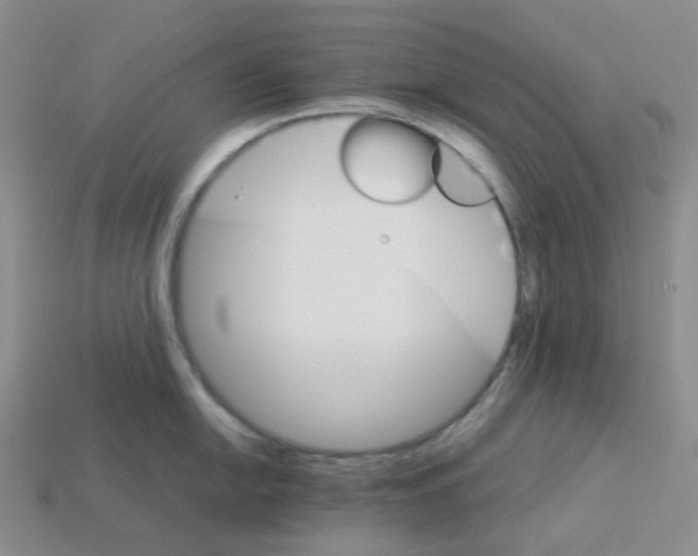 X0000112831054200910021218