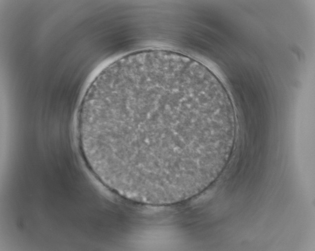 X0000112831056200910021219