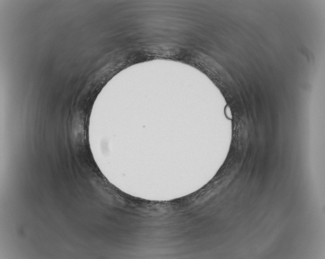 X0000112831058200910021218