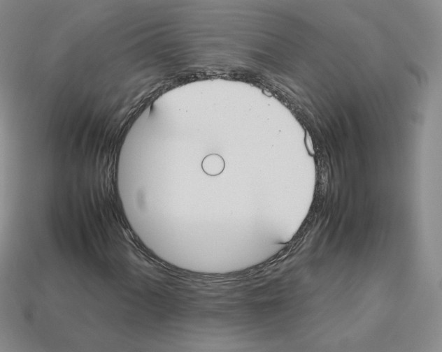 X0000112831060200910021218