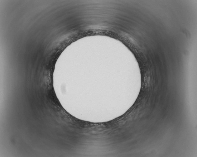 X0000112831062200910021218