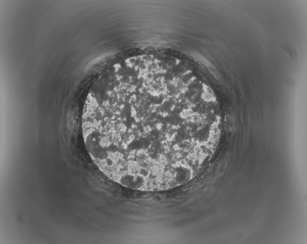 X0000112831063200910021218