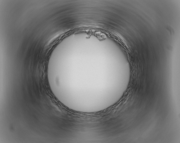 X0000112831064200910021218