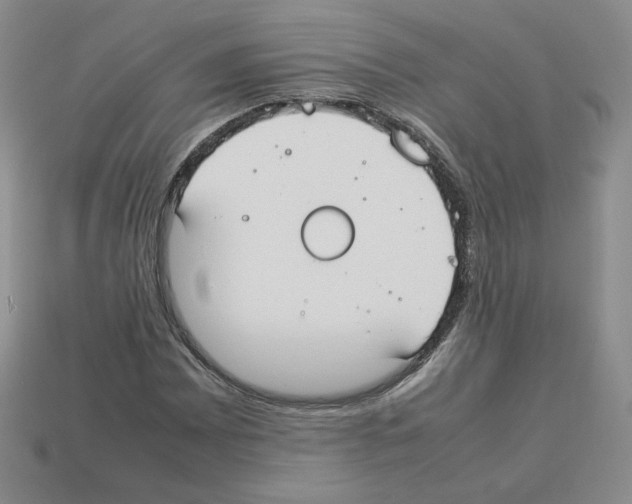 X0000112831065200910021218