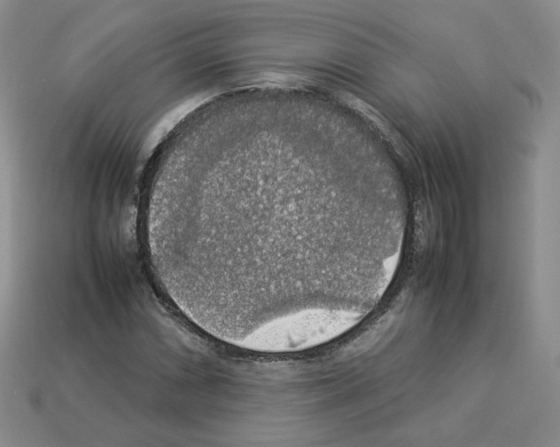 X0000112831066200910021218