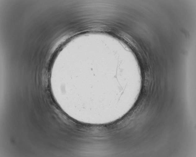 X0000112831067200910021218