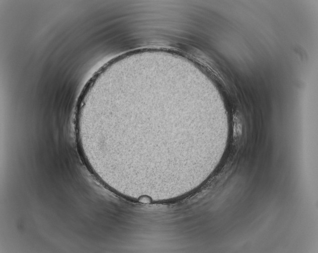 X0000112831068200910021218