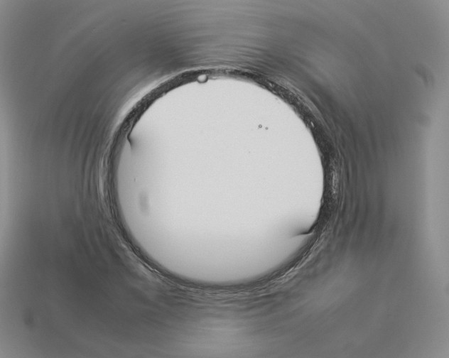 X0000112831069200910021218