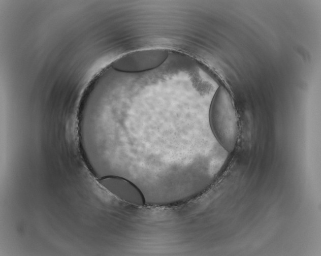 X0000112831072200910021218