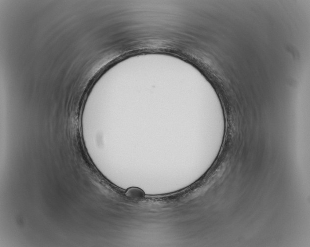 X0000112831073200910021218