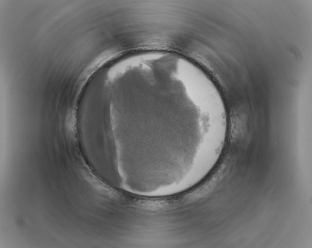 X0000112831074200910021218