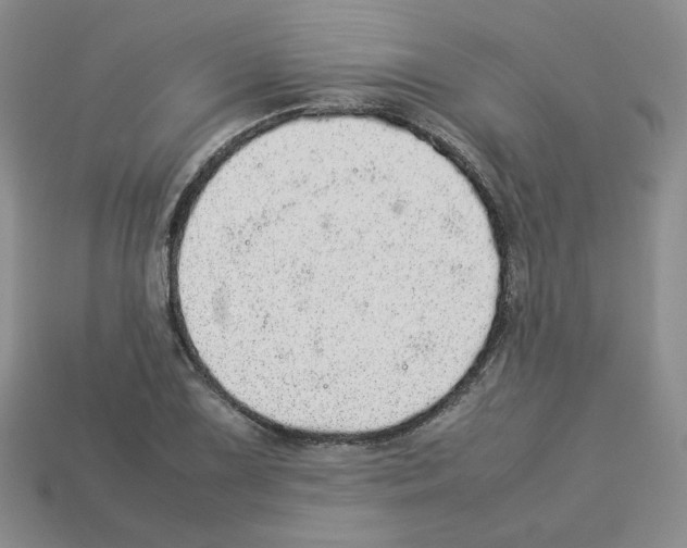 X0000112831075200910021218