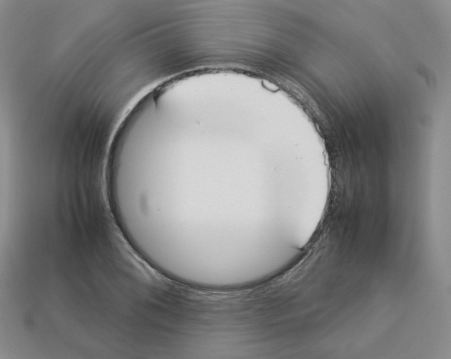 X0000112831076200910021218