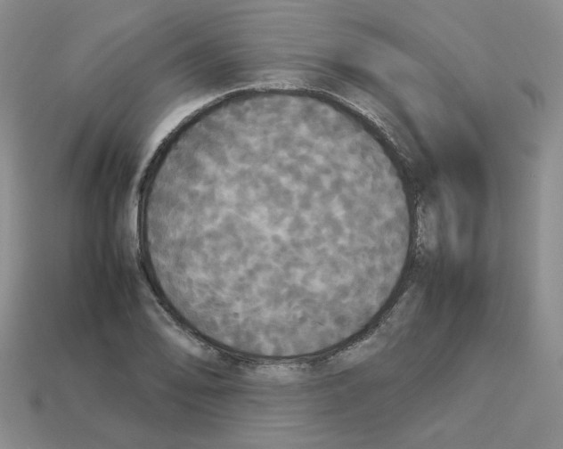 X0000112831078200910021218